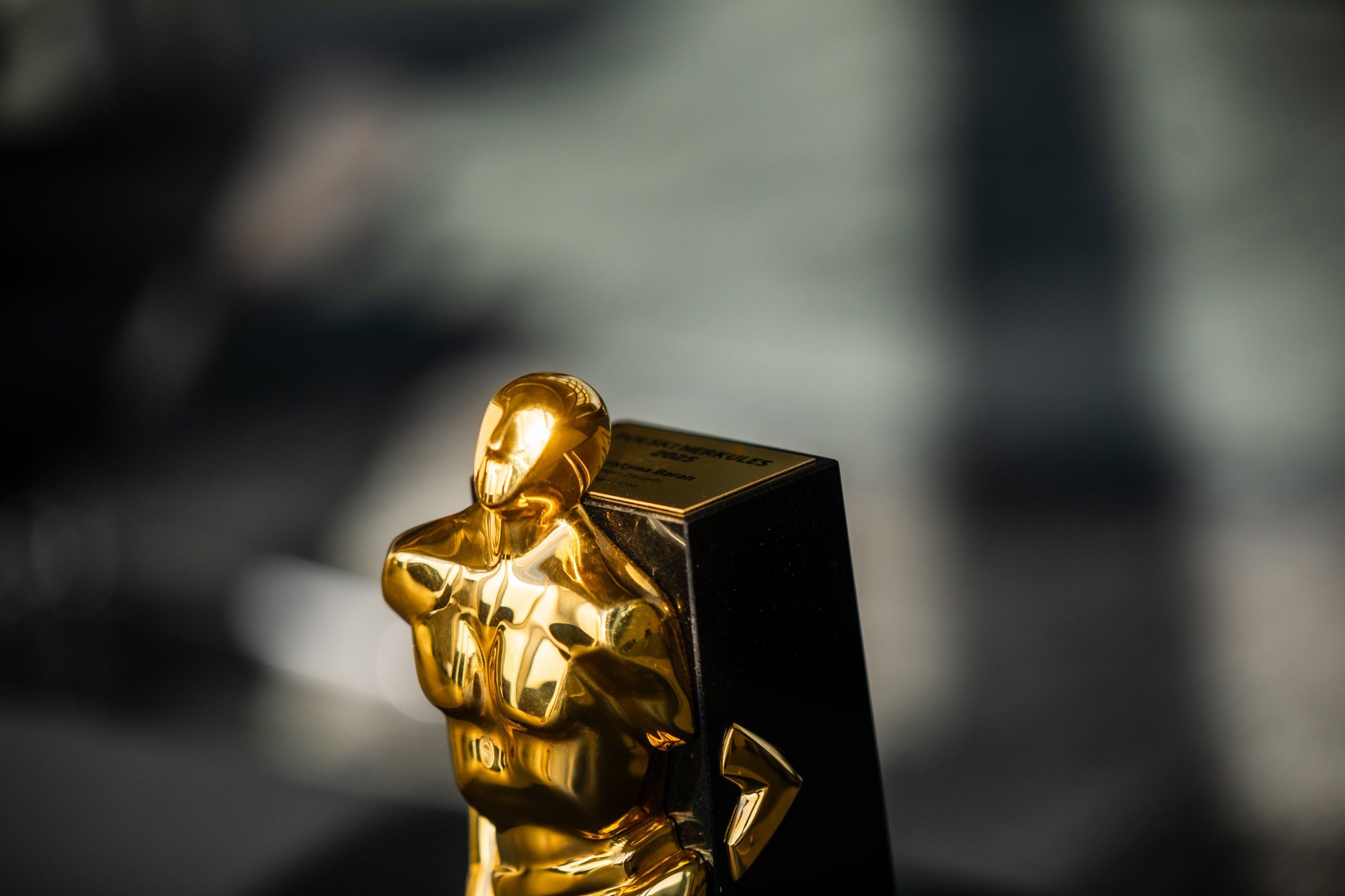 Złoty Polski Herkules za zasługi dla budownictwa